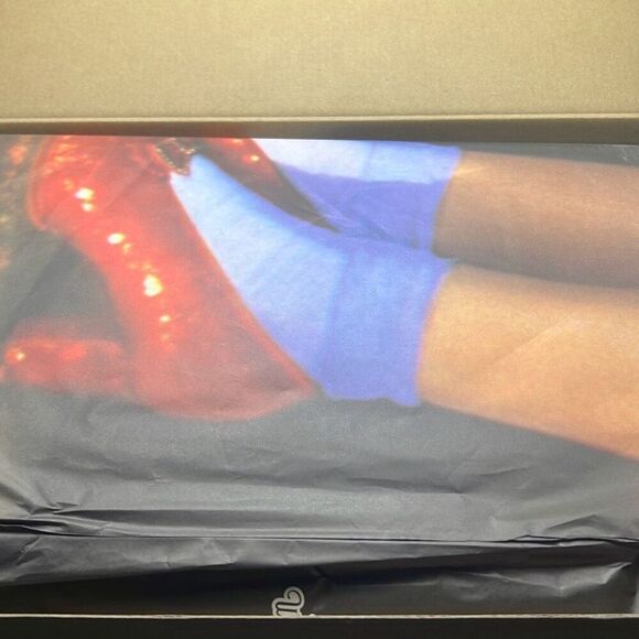 Nike SB x‎ The Wizard of Oz Dunk Low Poppy Field FZ1291 600 Limited Men 10.5 NWB - Picture 6 of 14